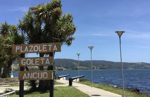 Ancud Apartment | Restaurant, Cabañas y Hotel Polo Sur