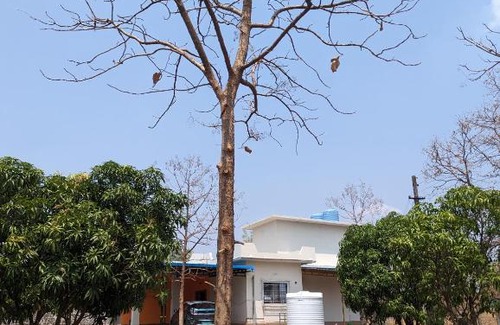Gaulwadi House | Resum Farms - Home Away from Home