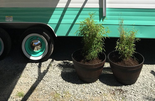 West Sound House | Retro Trailer on the farm