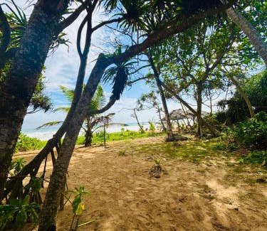 Thiranagama Bed & Breakfast | Revival Beach Resort