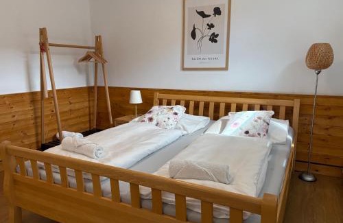 Pisek Apartment | Rezidence U Kamenného mostu