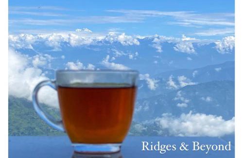 Lebong and Mineral Spring Tea Garden House | Ridges & Beyond