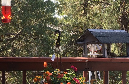 Payson House | Rim Country Living in the heart of Arizona