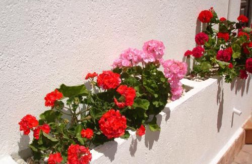 Benidorm Apartment | Rinconada Real - Zand Properties