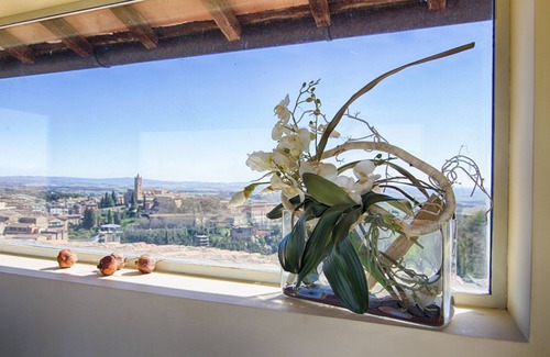 Siena Historical Center Apartment | Rinidia Siena Centro