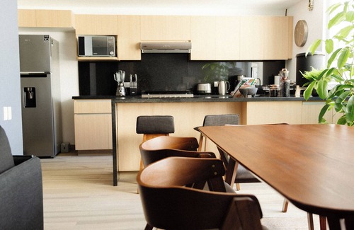 Colonia Cuauhtemoc Apartment | RIO ELBA by Mr. W