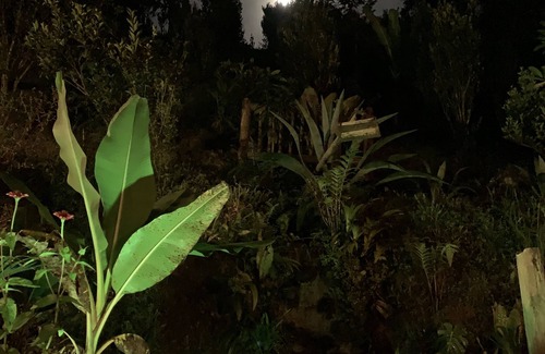 San Rafael Cabin | Rio Madera Cabin San Rafael