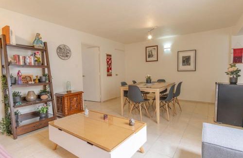 Colonia Cuauhtemoc Apartment | Rio Niagara
