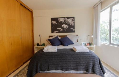 Colonia Cuauhtemoc Apartment | Rio Niagara