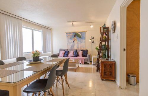 Colonia Cuauhtemoc Apartment | Rio Niagara