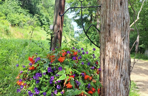 Muscoda Cottage | River's Edge Cabin, LLC