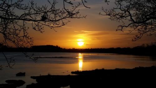 Woodbridge Bed & Breakfast | River View