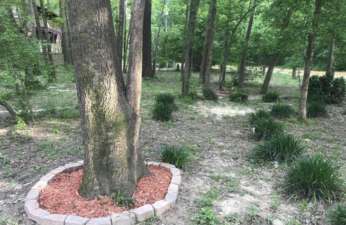 Elizabethtown Cabin | Riverfront Cabin:Main cabin 1 bath.Bunk House Additional Fee.