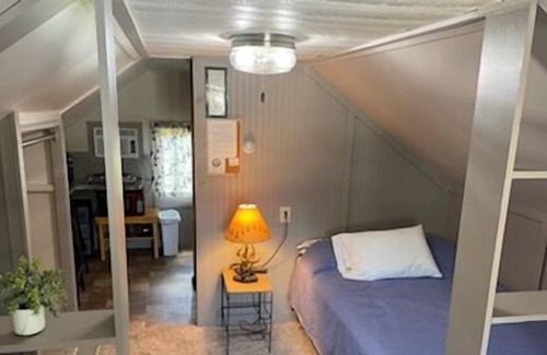 Park Rapids Apartment | Riverside Point Resort Studio Cabin 9 Loft