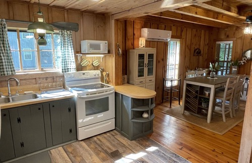 Choestoe Cabin | Riverside Retreat located on the Nottely River in the North Georgia Mountains.