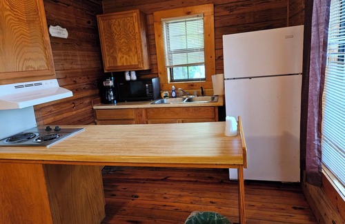 Mammoth Spring Cabin | Riverview Cabins viewing Mammoth Spring State Park and Hatchery
