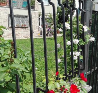 Lucca Historical Center House | Robin's nest