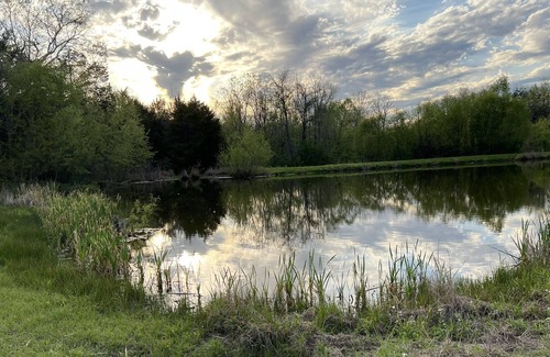 Faunsdale Cabin | Rolling Meadows Countryside Cabin, Pets Welcome!