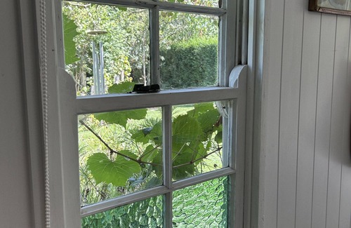 Bowral House | Romantic Apple Tree Lane
