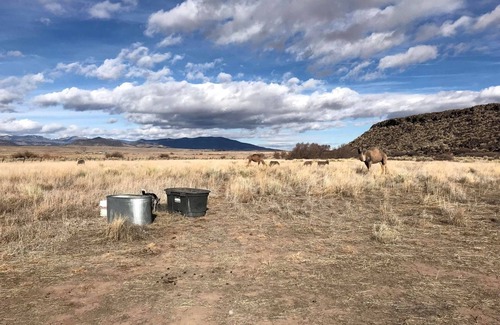 Capulin House | Romantic Camping Yurt on Camel Farm near Alamosa, Colorado