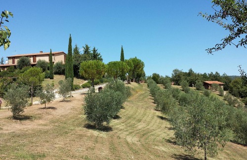 Massa Marittima Ski Chalet | Romantic Chalet in Tuscany, 2+2 people, in a farmhouse with swimming pool