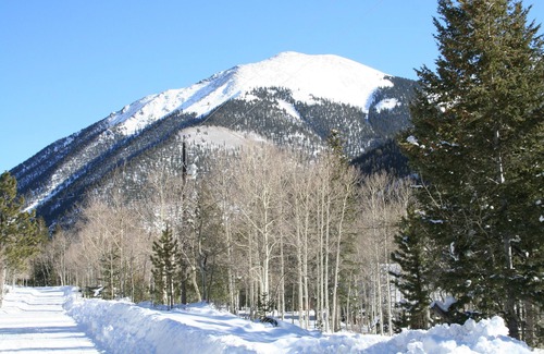 Buena Vista Cabin | Romantic, Cozy Cabin With Mountain Views and Fall Colors!