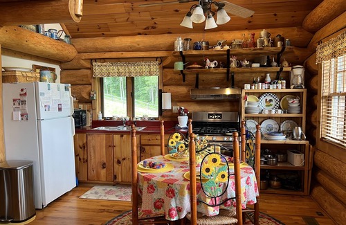 Leicester Cabin | ROMANTIC LOG CABIN OPEN FOR BUSINESS MT.VIEWS, 2/1,10 MIN AVL, FP,WiFi, FIREPIT