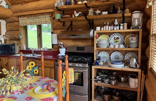Leicester Cabin | ROMANTIC LOG CABIN OPEN FOR BUSINESS MT.VIEWS, 2/1,10 MIN AVL, FP,WiFi, FIREPIT
