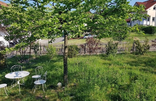 Ludwigshafen Apartment | Romantic studio in renovated half-timbered house from 1706, with courtyard and garden