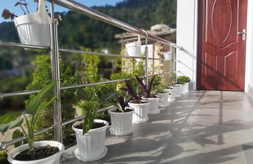 Kumai Resort | Rongo's RiverSide Farm Stay