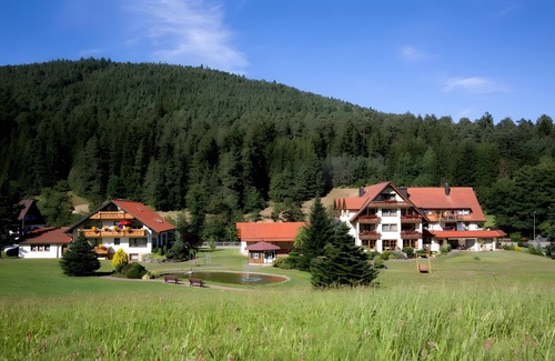 Tonbach Apartment | Room '10 35' with Mountain View, Private Terrace and Wi-Fi