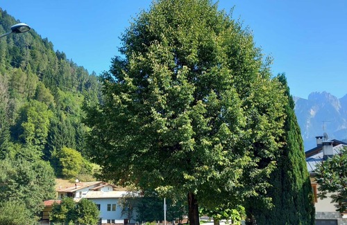 Lozzo di Cadore Apartment | Room 'Camera 3' with Wi-Fi