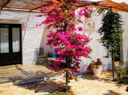 Rosa Marina House | Room in BB - Beautiful triple room in ancient Masseria near the sea in a quiet olive trees