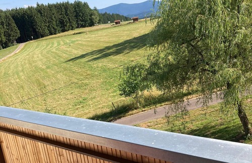Muehlenbach Apartment | Room 'No. 4 with Balcony' with Shared Terrace, Shared Garden and Wi-Fi