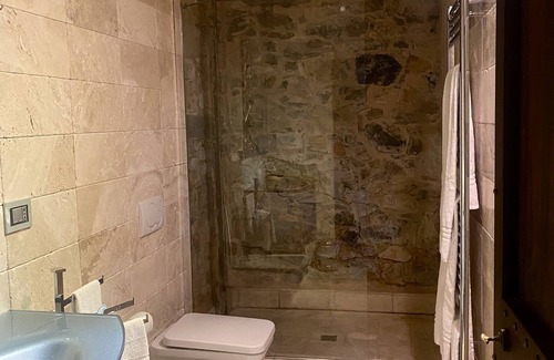 Santa Cristina a Mezzana Bed & Breakfast | Room overlooking the vineyards and Florence