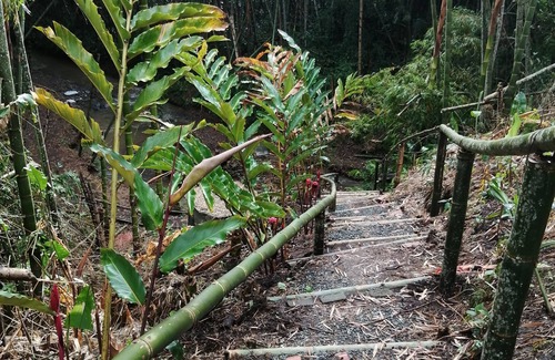 Pereira House | Room with 2 double beds - Number 6