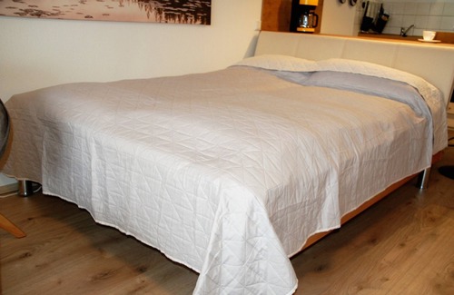 Enzklosterle Apartment | Room with a view