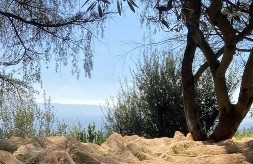 Terni Villa | Room with mountain view and the city of Terni in a villa among the olive trees.