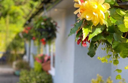 Talybont-on-Usk Bed & Breakfast | Rooms at The Usk