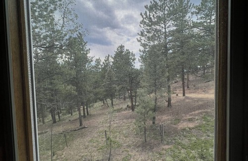 Woodland Park Cabin | Rose Mountain Escape is peaceful with beautiful views and we are pet friendly.