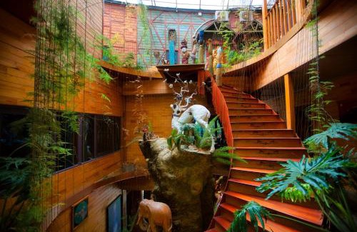 Kon Plong Hotel | Rosie Garden Măng Đen