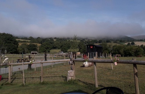 Rhayader Cabin | Rosie traditional Gypsy Wagon