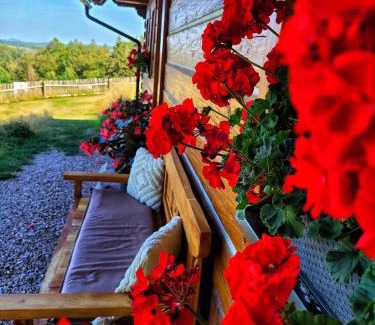 Krasna Lipa House | Roubenka Vlčí Hora