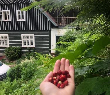 Spindleruv Mlyn House | Roubenka Volský Důl