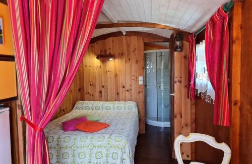Bonnee Bed & Breakfast | Roulotte Esméralda: Séjour insolite au cœur de la nature, climatisée, parking privé, prêt de vélos - FR-1-590-502