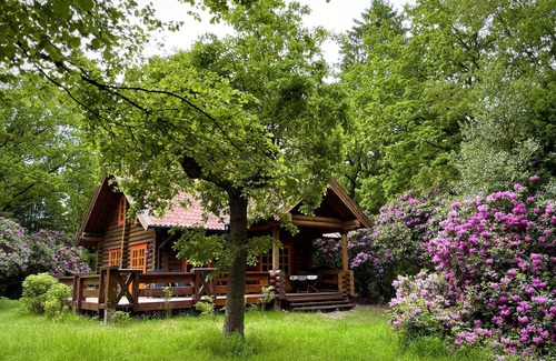 Mollberg House | Round log block Haus am Waldsee