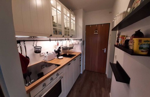 Bad Reichenhall Apartment | Rupertusschwänchen 29 qm