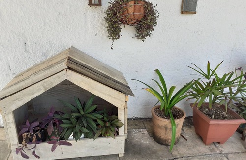 Boca da Mata House | Rural tourism, five kilometers from the city of Boca da Mata. Ecological environment