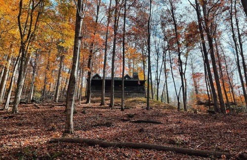 Dahlonega Cabin | Rustic Appalachian cabin, 6+ acres, creek, 5 min from Dahlonega & wineries