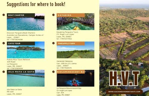 Llanos Costa House | Rustic cabin in the heart of the fields of Pitahaya